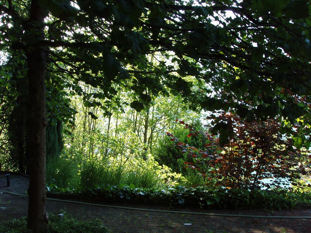 Ferienwohnung Selinda Niederried bei Interlaken 外观 照片