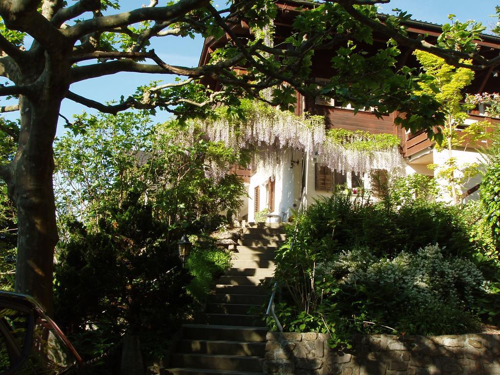 Ferienwohnung Selinda Niederried bei Interlaken 外观 照片